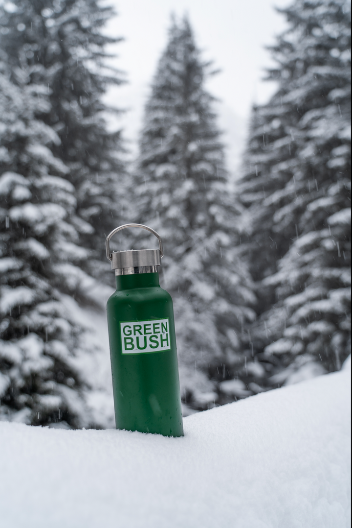 Gourde isotherme 621ml Greenbush