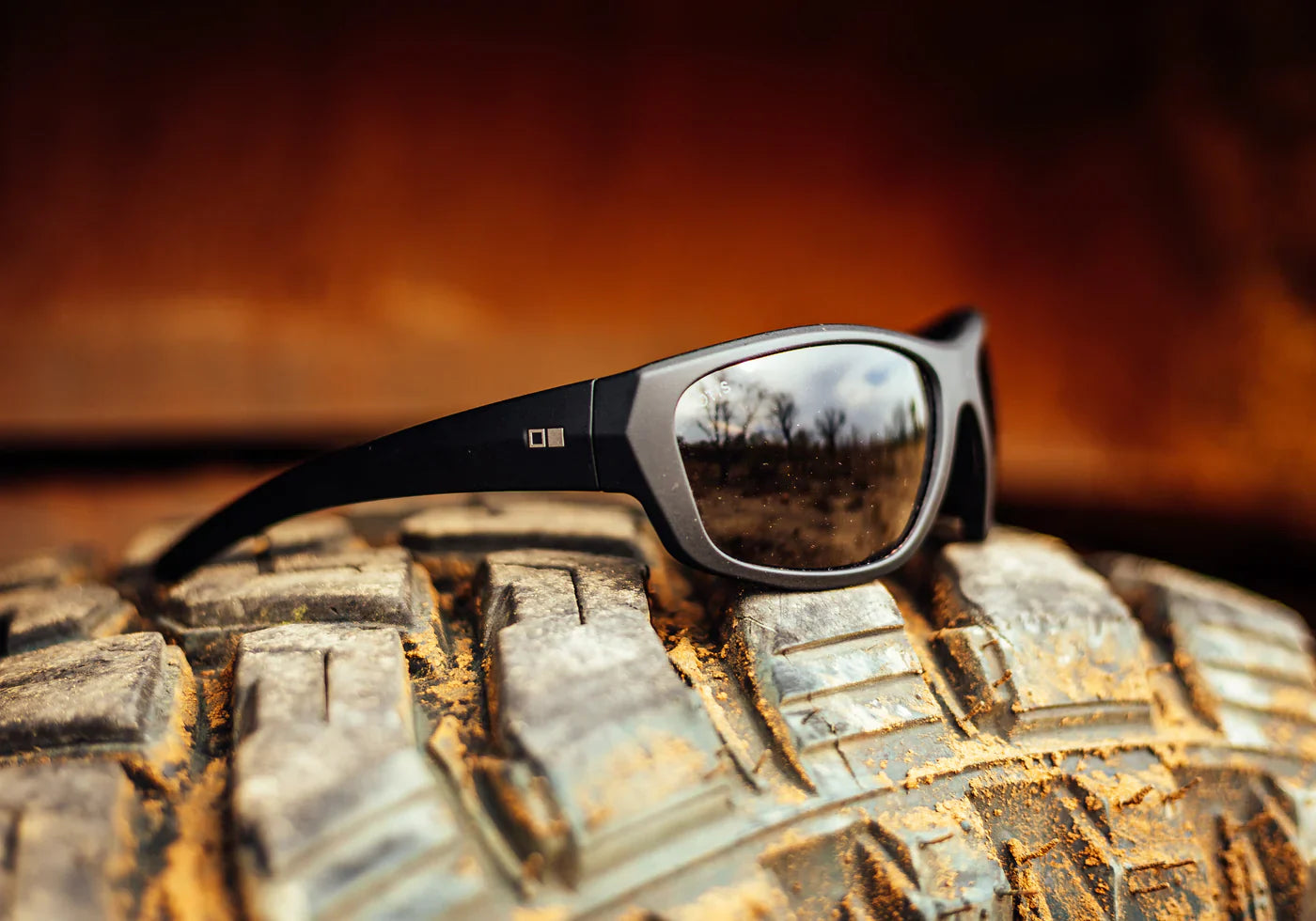 Lunettes de soleil