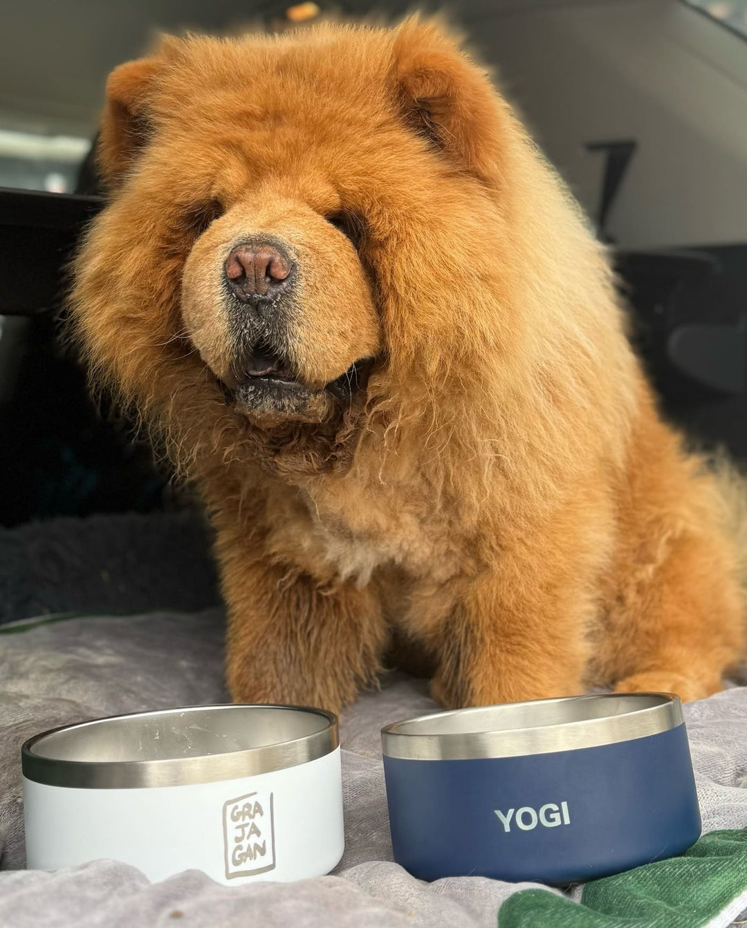 DOG BOWL GRAJAGAN - 32 OZ