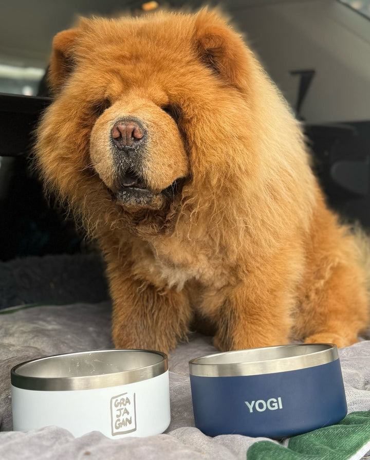 DOG BOWL GRAJAGAN - 32 OZ