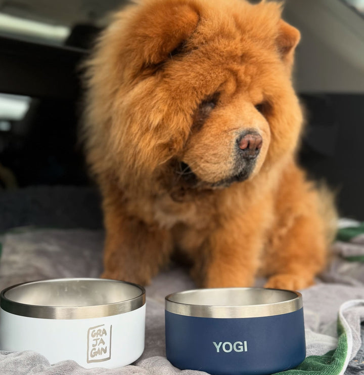 DOG BOWL GRAJAGAN - 32 OZ